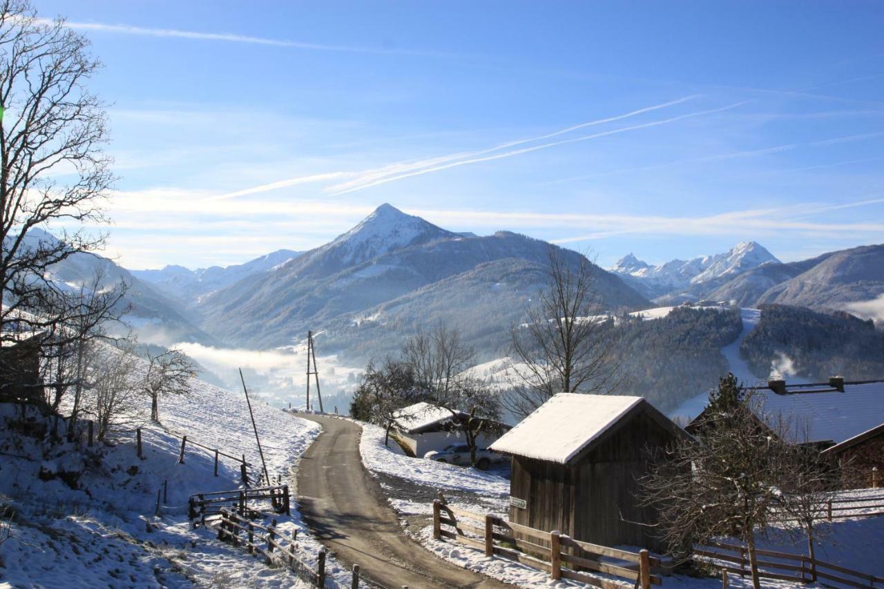 Apartment Poetzelberghof Altenmarkt im Pongau Buitenkant foto