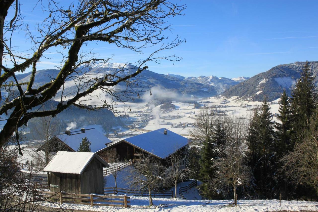 Apartment Poetzelberghof Altenmarkt im Pongau Buitenkant foto